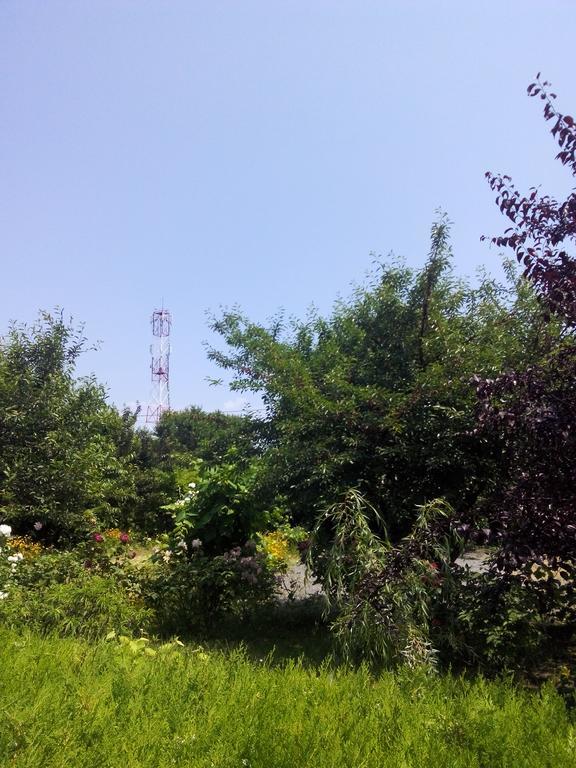 מלון קוסטינסטי Casa Dalena מראה חיצוני תמונה