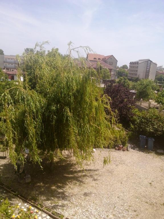מלון קוסטינסטי Casa Dalena מראה חיצוני תמונה