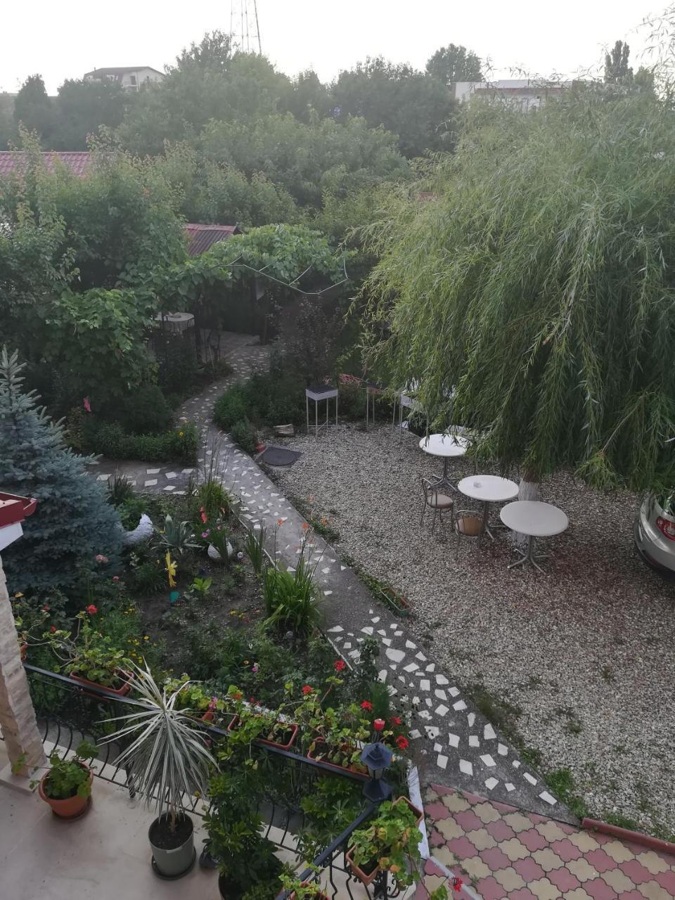 מלון קוסטינסטי Casa Dalena מראה חיצוני תמונה